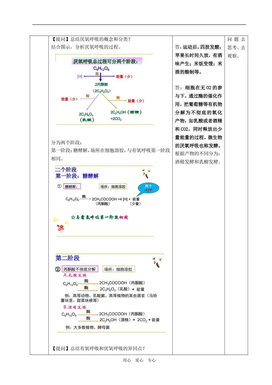 必修1 第三章第四节 细胞呼吸_第3页