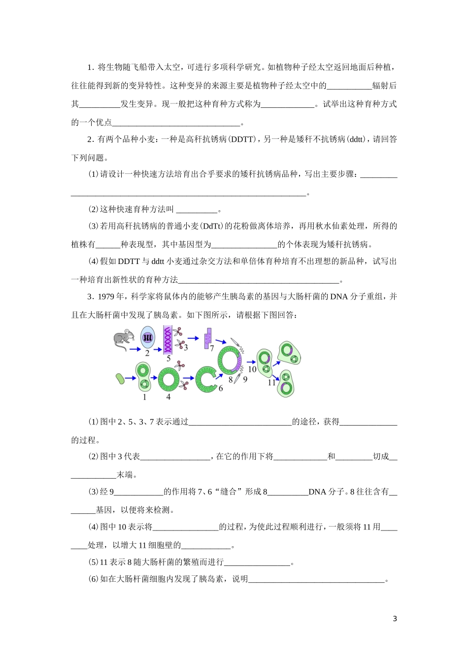 高中生物_必修二_从杂交育种到基因工程测试题及答案_第3页