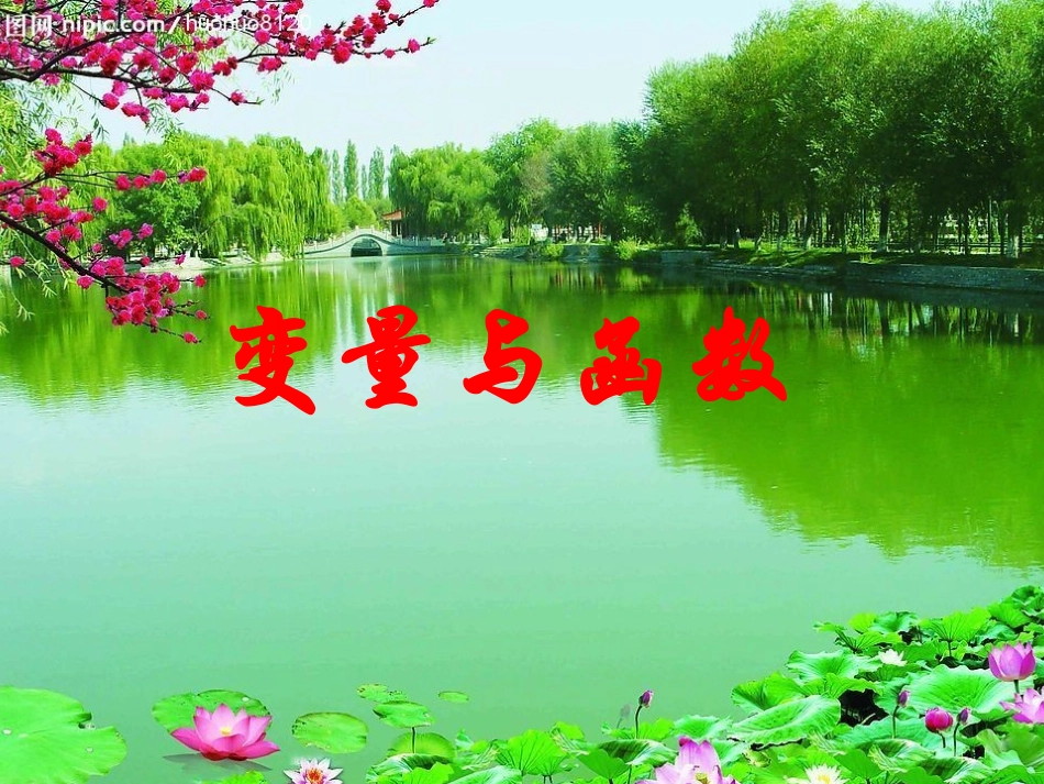 变量与函数课件_第1页