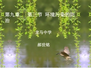 环境污染的防治