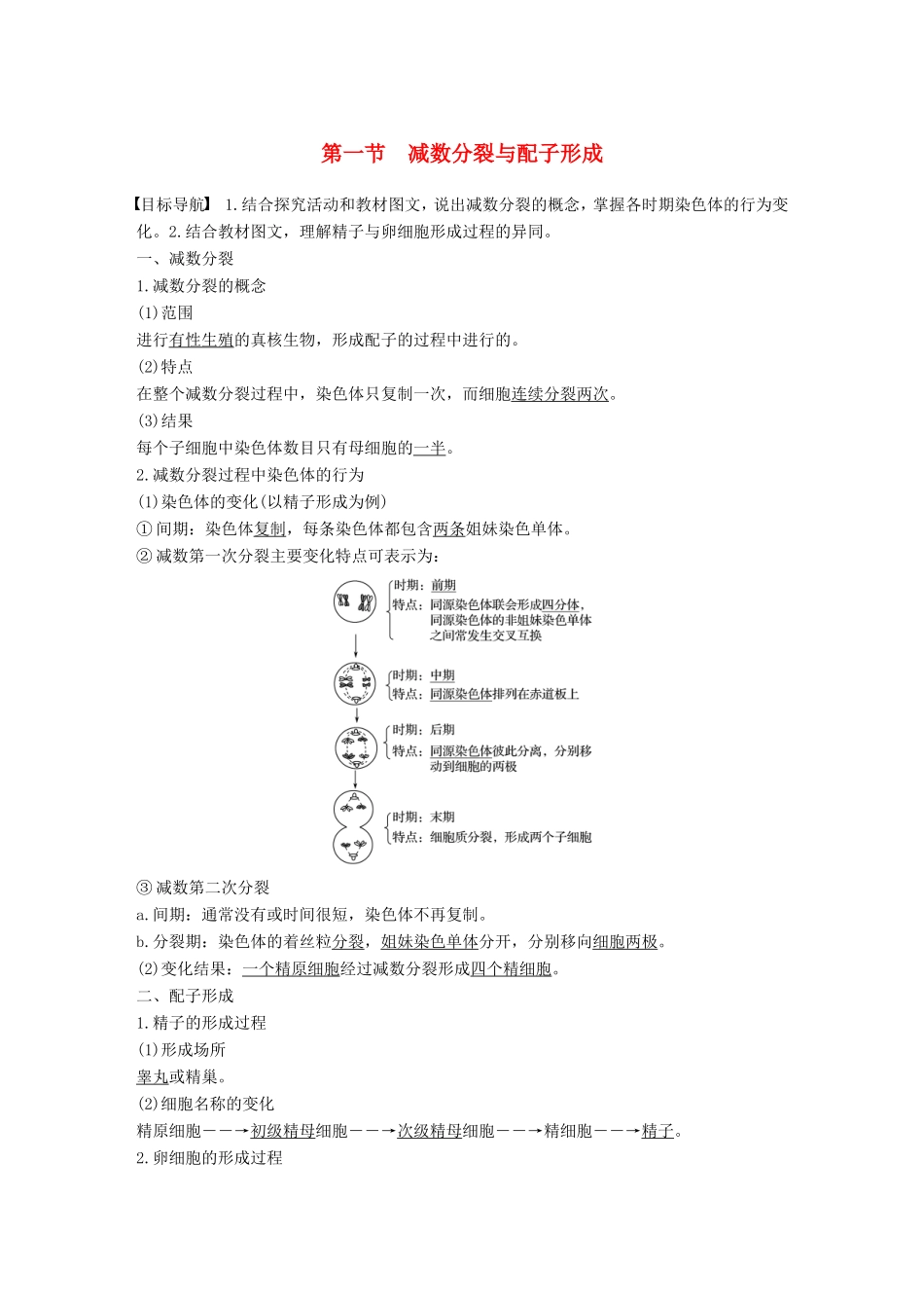 高中生物 1.1.1 减数分裂与配子形成学案 中图版必修2-中图版高中必修2生物学案_第1页
