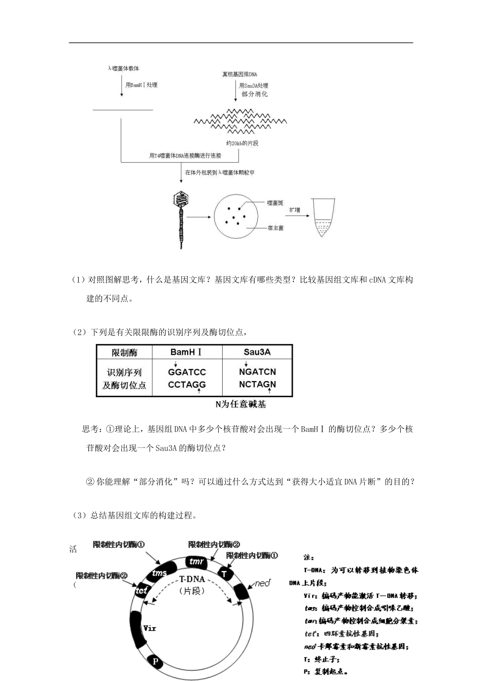 高一生物 基因工程操作的基本程序精华学案_第2页