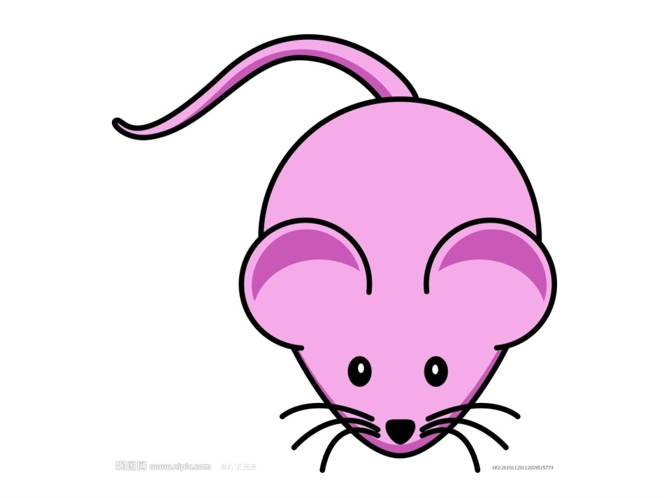 中班美术活动：猫捉老鼠_第3页