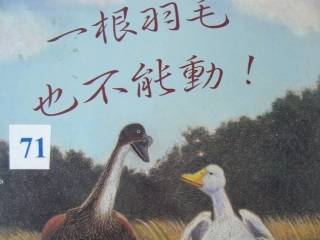 一根羽毛也不能動