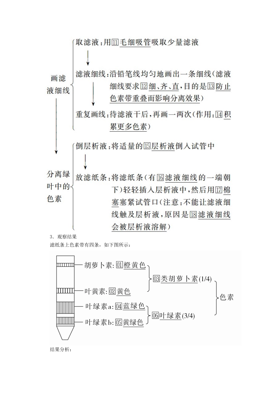 高中生物 第5章 第4节 第1课时 捕获光能的色素和结构学案 新人教版必修1-新人教版高一必修1生物学案_第3页