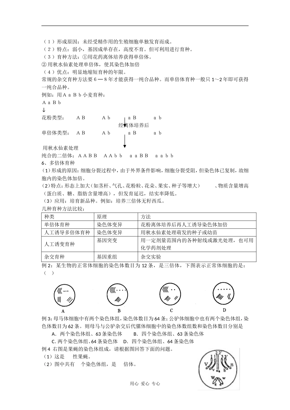 高一生物：5.2《染色体变异》学案新人教版_第2页