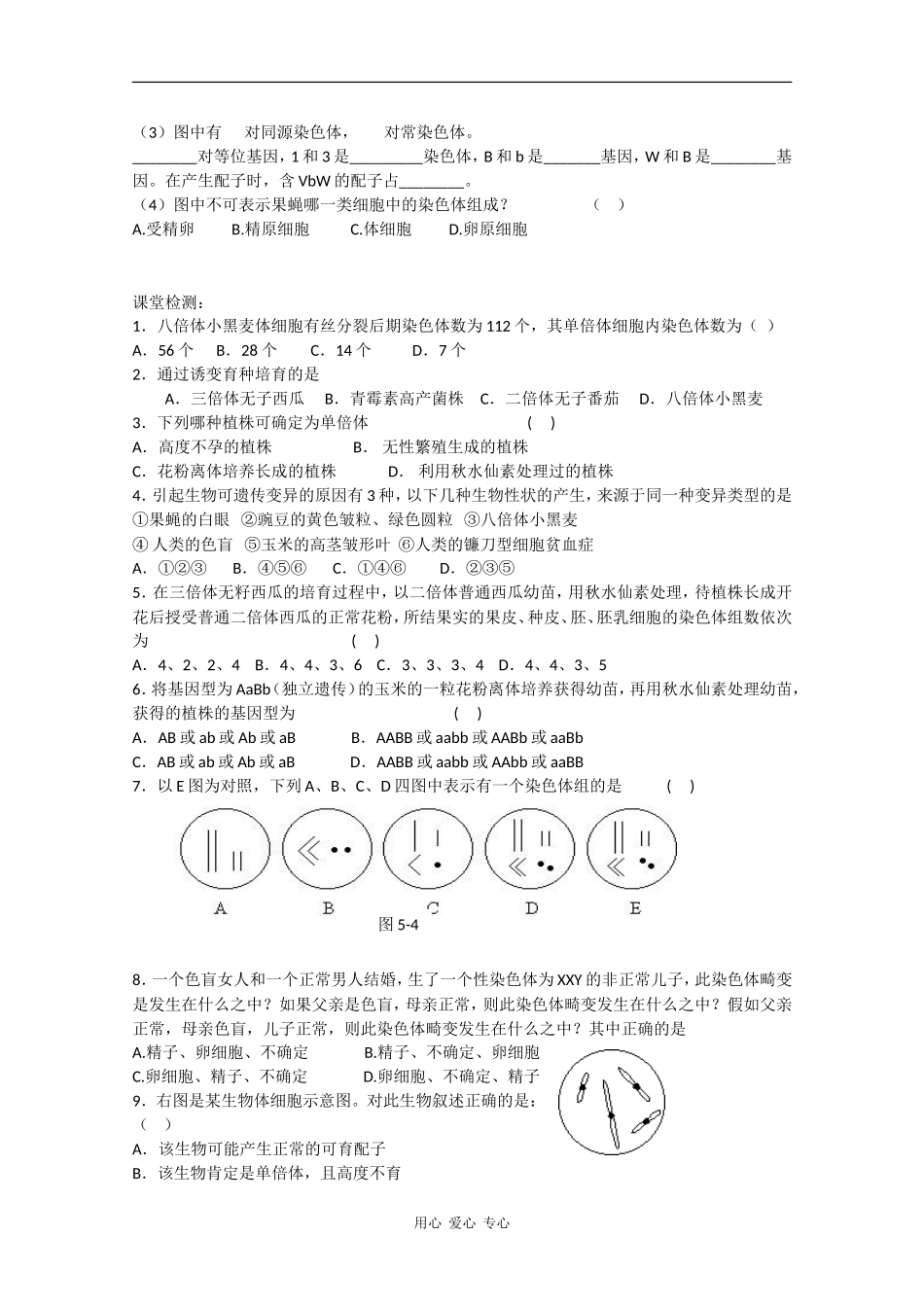 高一生物：5.2《染色体变异》学案新人教版_第3页