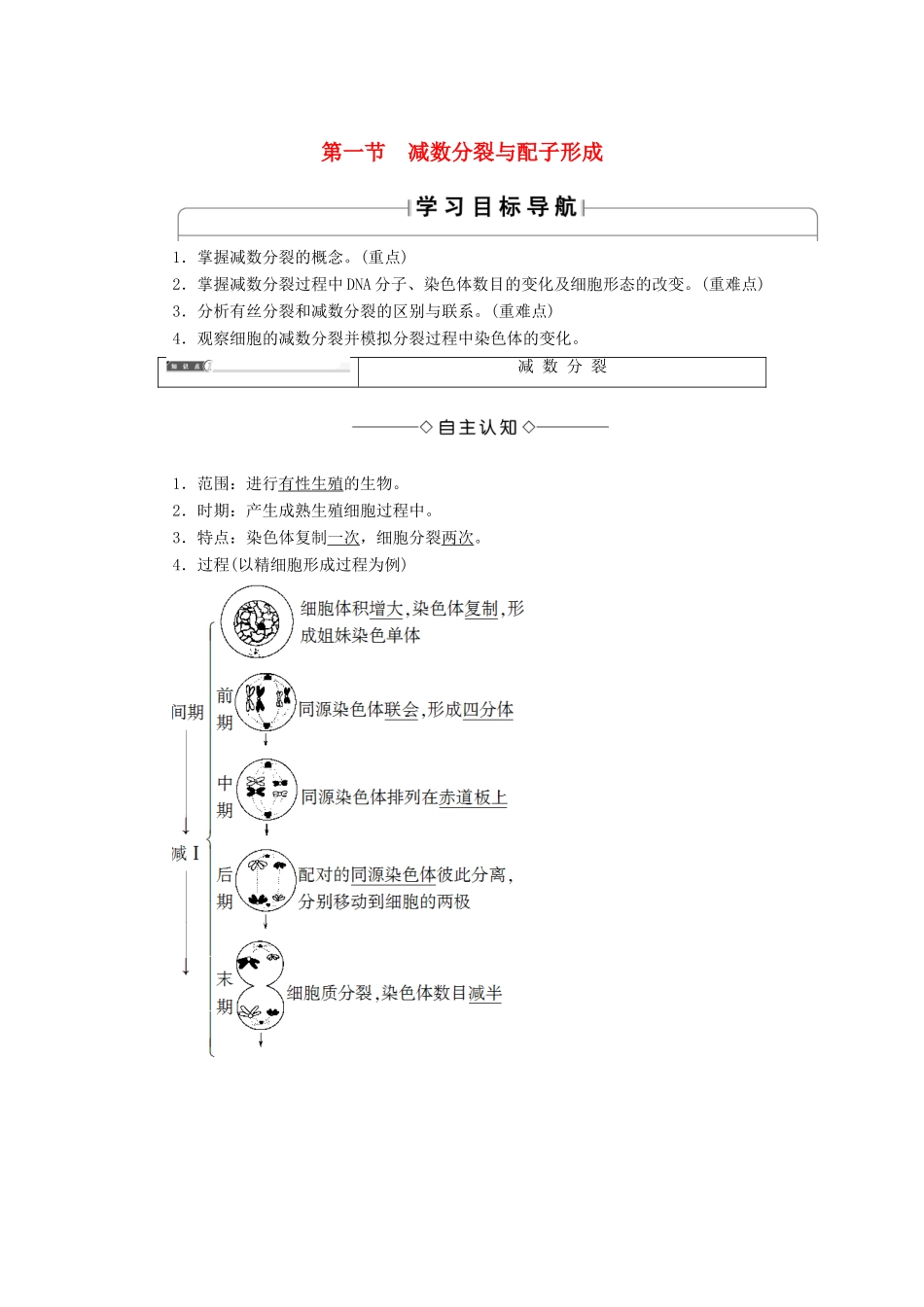 高中生物 第1单元 第1章 第1节 减数分裂与配子形成学案 中图版必修2-中图版高中必修2生物学案_第1页