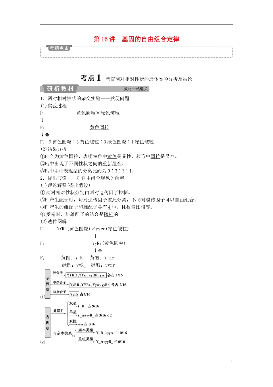 高考生物一轮复习 第五单元 遗传的基本规律与伴性遗传 第16讲 基因的自由组合定律学案-人教版高三全册生物学案_第1页