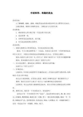 中班科学：有趣的昆虫