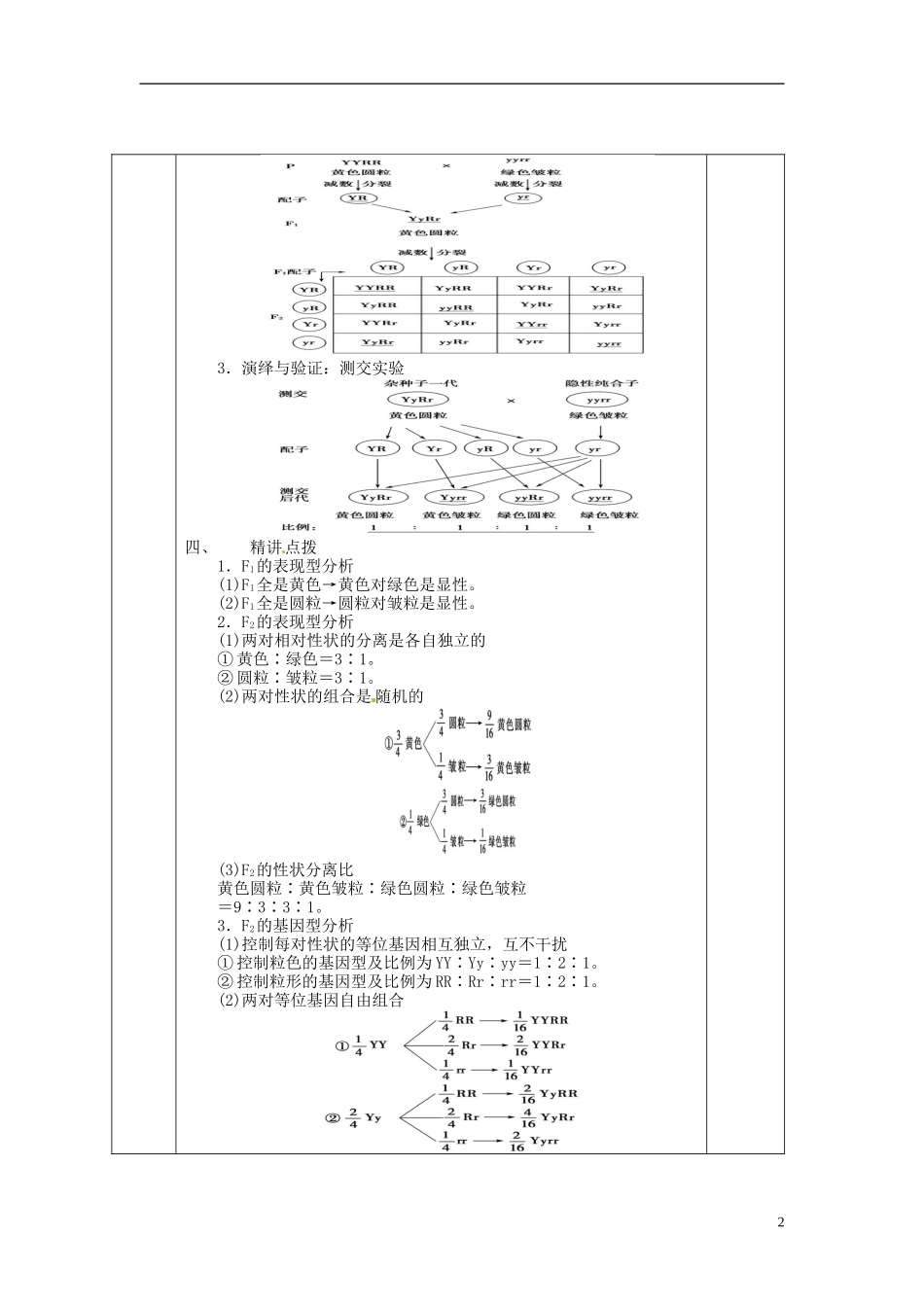 高中生物 1.2孟德尔的豌豆杂交实验二导学案1 新人教版必修2-新人教版高一必修2生物学案_第2页