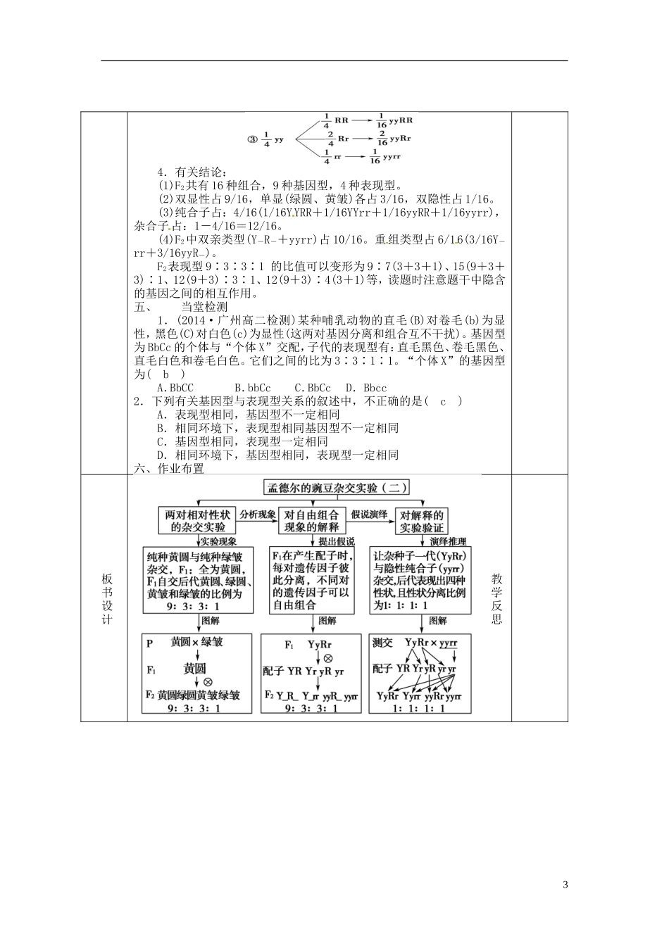 高中生物 1.2孟德尔的豌豆杂交实验二导学案1 新人教版必修2-新人教版高一必修2生物学案_第3页