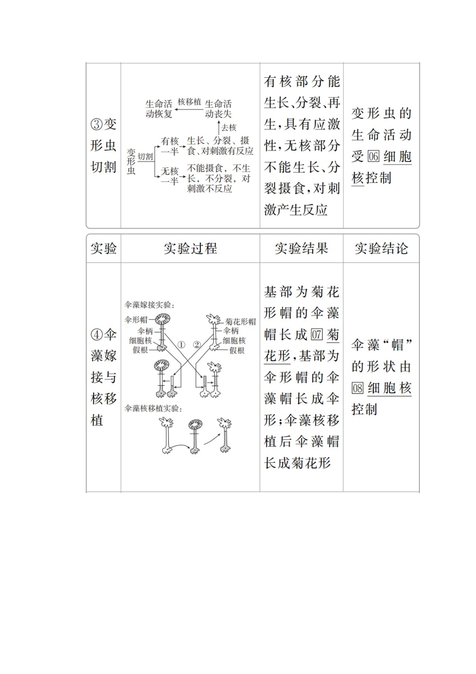 高中生物 第3章 第3节 细胞核——系统的控制中心学案 新人教版必修1-新人教版高一必修1生物学案_第2页