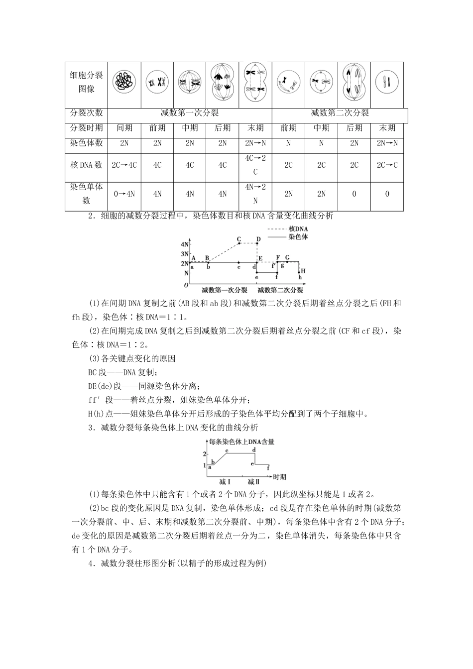 高中生物 第2章 遗传信息传递的结构基础 第1节 染色体是遗传信息的载体 第3课时 染色体在减数分裂中的行为（三）学案 北师大版必修2-北师大版高一必修2生物学案_第2页