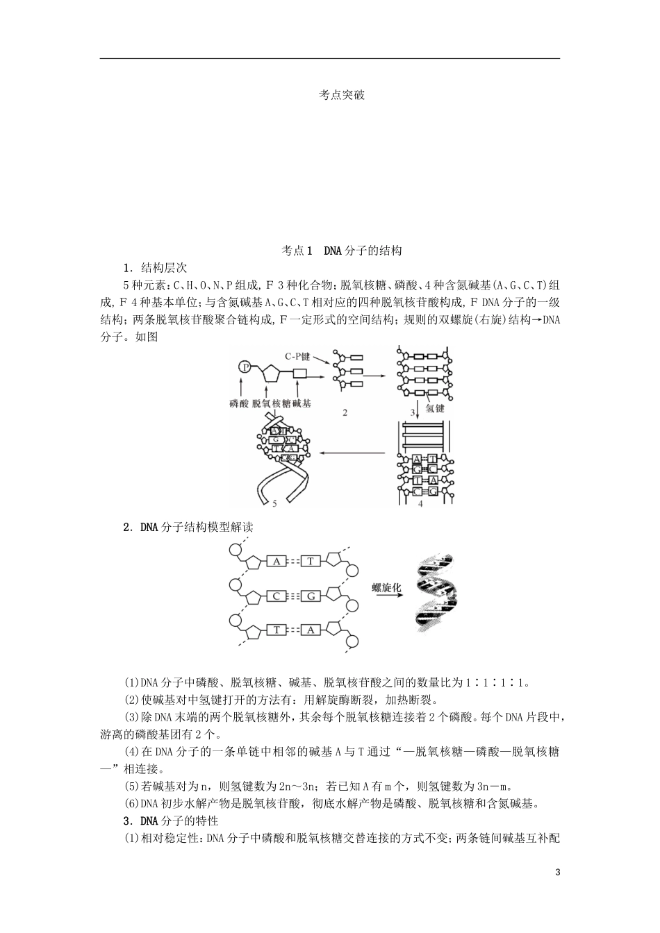 （江苏专用）高考生物一轮总复习 第6单元 遗传的分子基础 第2讲 DNA分子的结构和复制学案-人教版高三全册生物学案_第3页