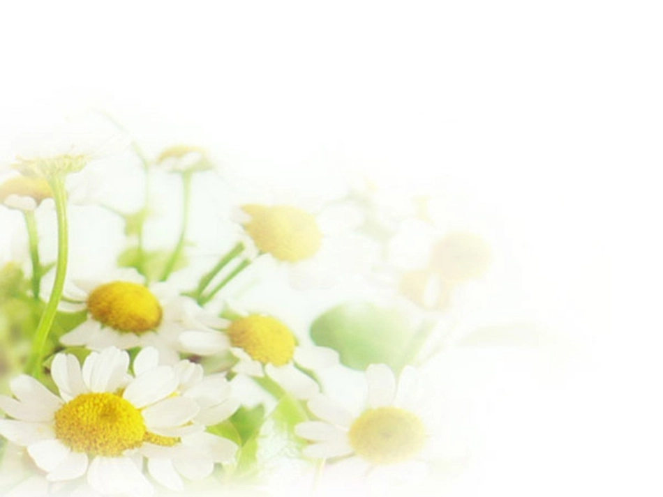 《北京喜获2008年奥运会主办权》3_第2页