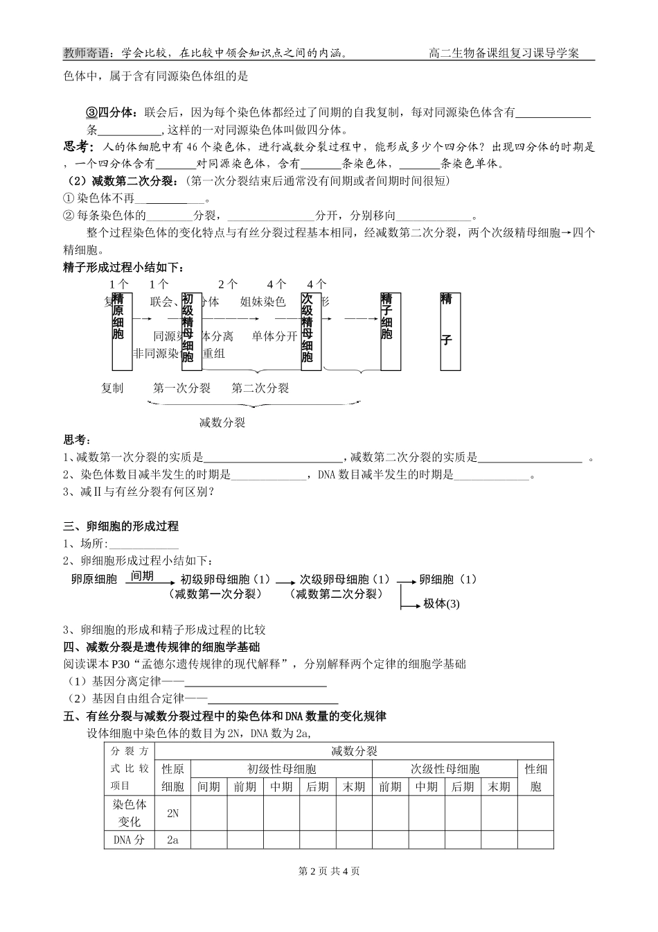 第4课时 减数分裂和受精作用_第2页