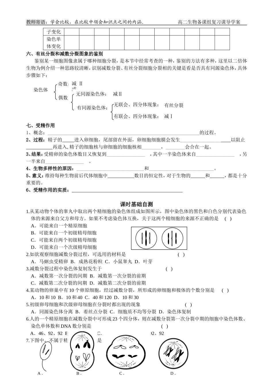 第4课时 减数分裂和受精作用_第3页