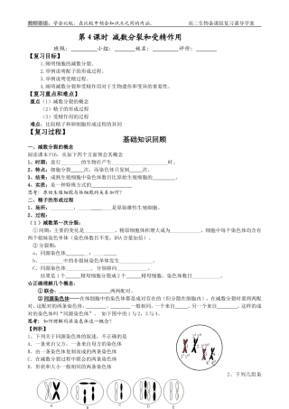 第4课时 减数分裂和受精作用