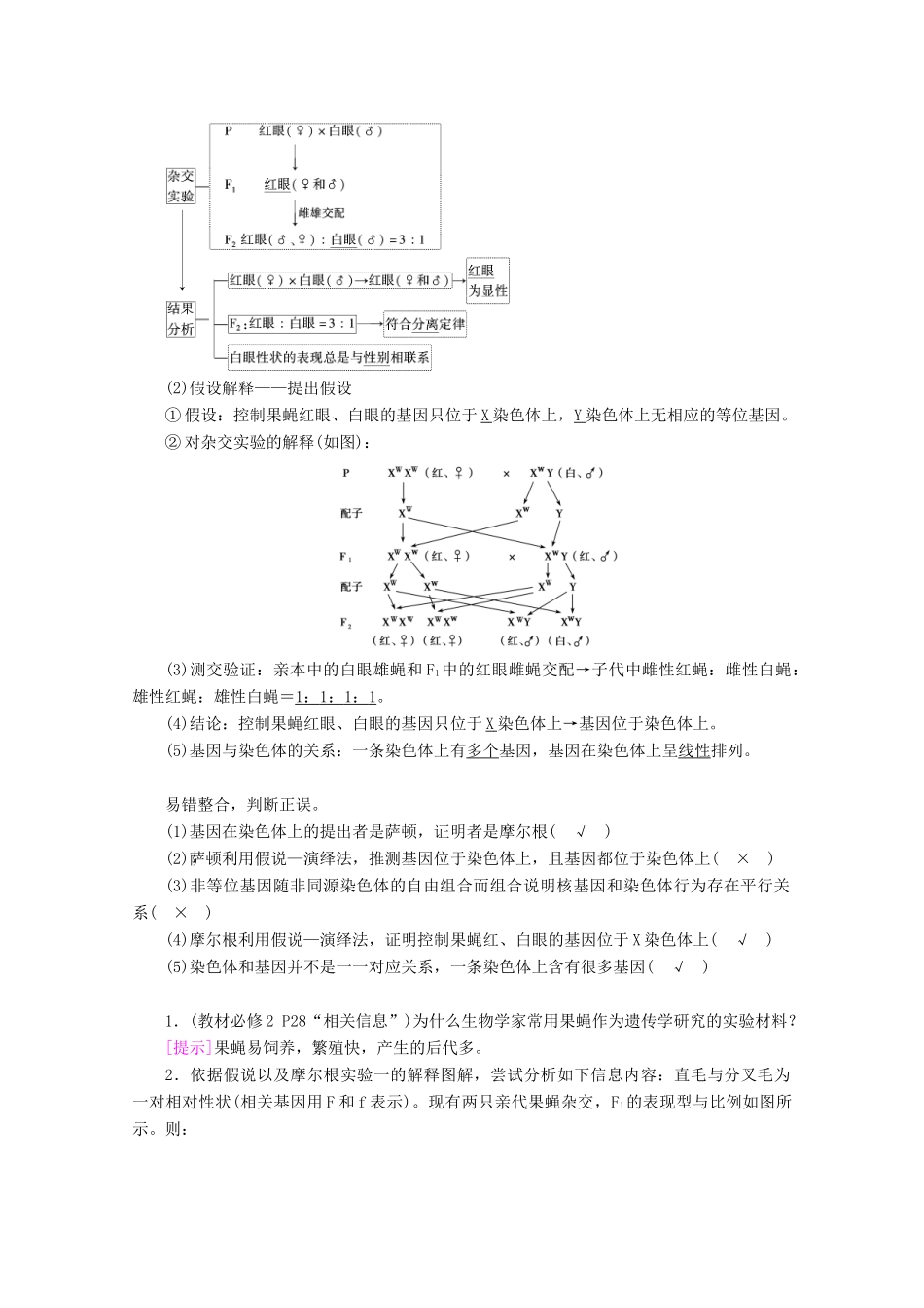 （新高考）高考生物一轮复习 必修部分 模块2 遗传与进化 第1单元 遗传的基本规律 第3讲 基因在染色体上、伴性遗传和人类遗传病学案 新人教版-新人教版高三必修生物学案_第2页