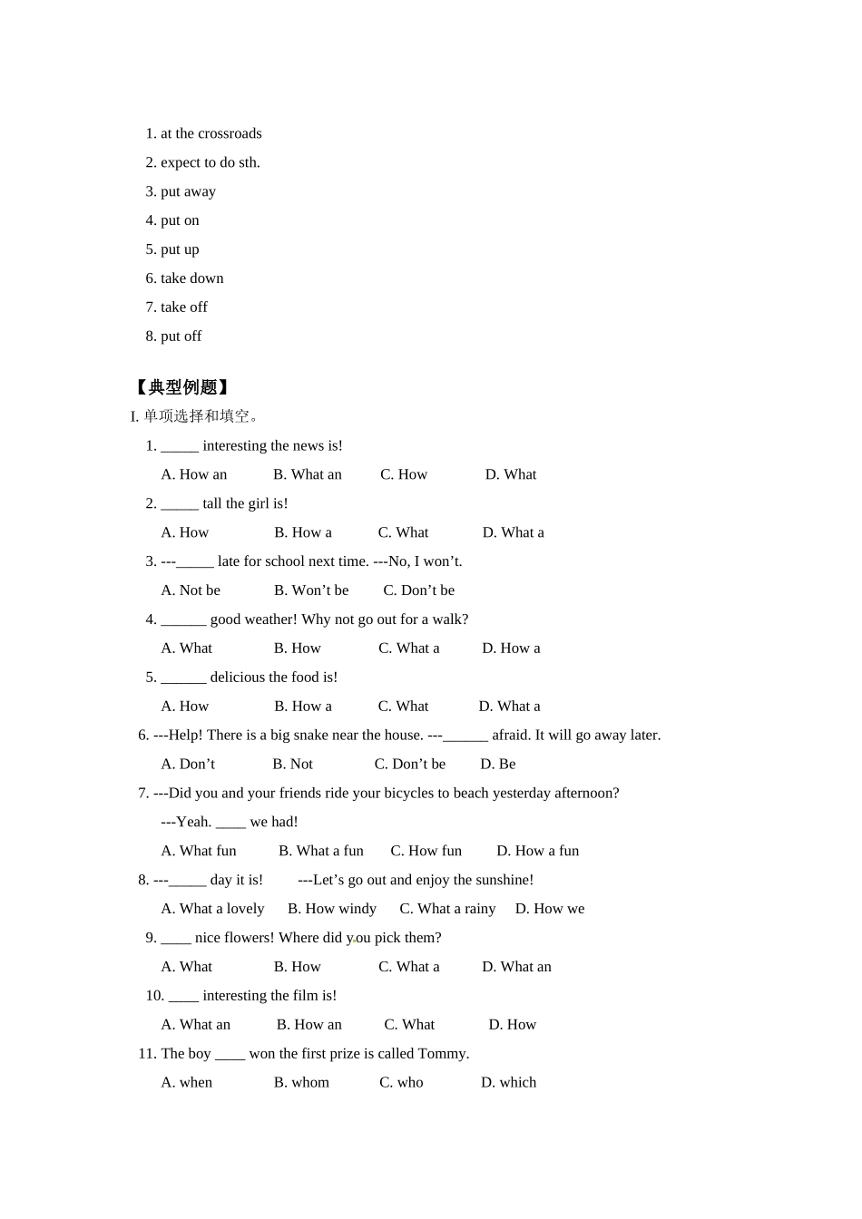 九年级英语 Unit 5 English and English-speaking Countries复习教案 北师大版_第3页