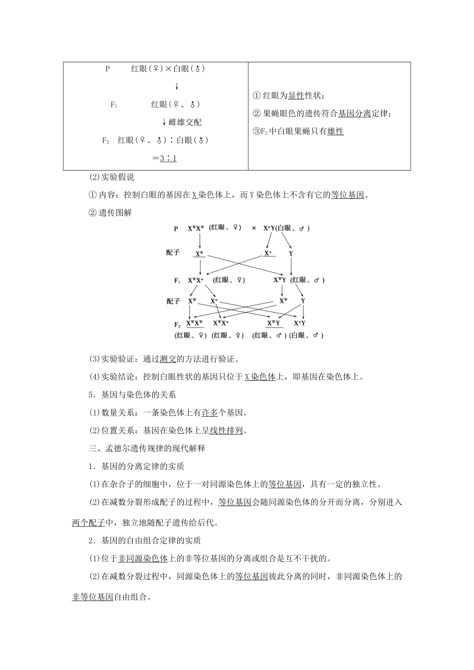 高中生物 第2章 基因和染色体的关系 第2节 基因在染色体上学案 新人教版必修第二册-新人教版高一第二册生物学案_第2页