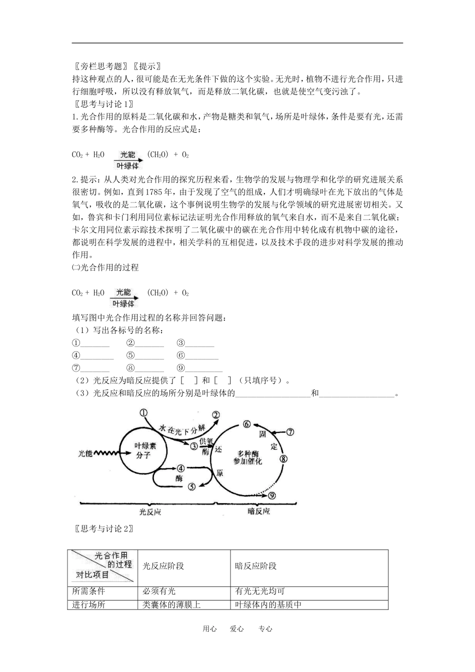 （新人教版必修1）生物：5.4《能量之源-光与光合作用》学案（3）_第2页