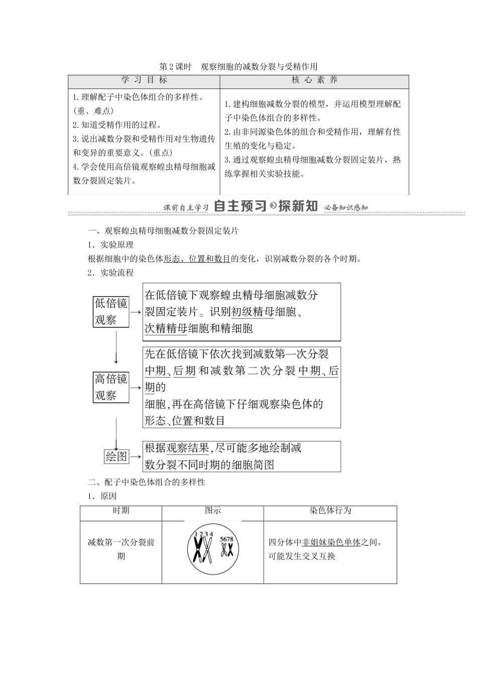高中生物 第2章 基因和染色体的关系 第1节 第2课时 观察细胞的减数分裂与受精作用学案 新人教版必修2-新人教版高中必修2生物学案_第1页