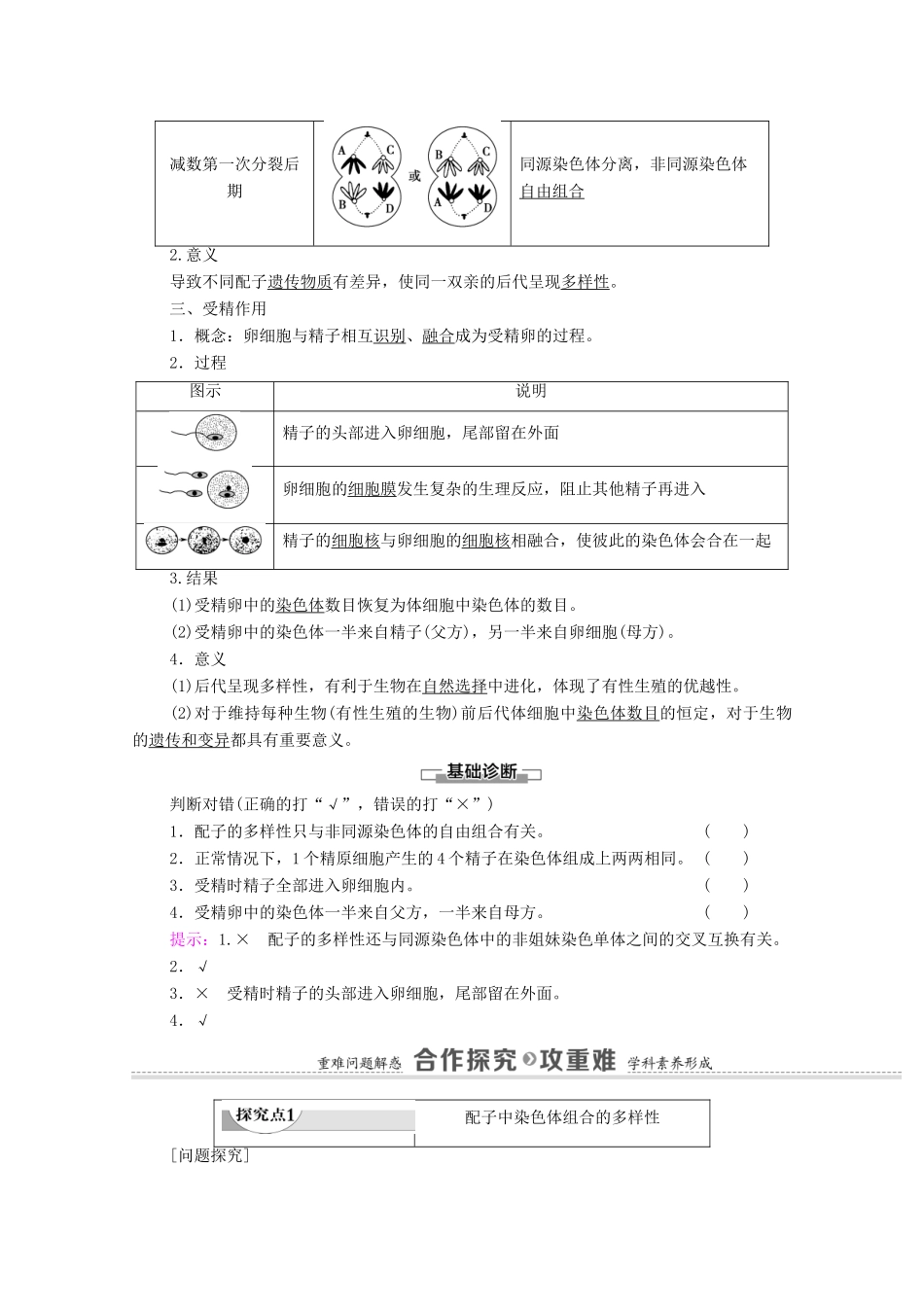 高中生物 第2章 基因和染色体的关系 第1节 第2课时 观察细胞的减数分裂与受精作用学案 新人教版必修2-新人教版高中必修2生物学案_第2页