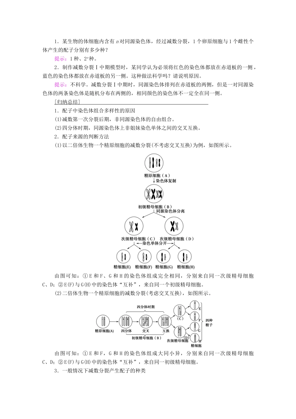 高中生物 第2章 基因和染色体的关系 第1节 第2课时 观察细胞的减数分裂与受精作用学案 新人教版必修2-新人教版高中必修2生物学案_第3页