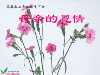 《母亲的恩情》课件（苏教版二年级语文下册课件）-副本