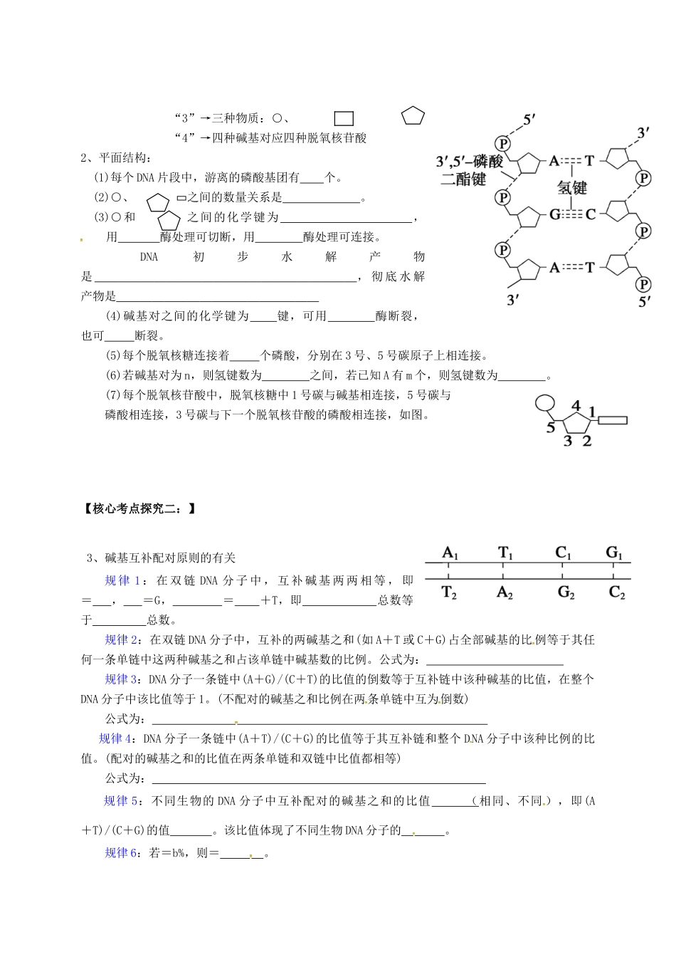 高中生物 3.2 DNA分子的结构学案 新人教版必修2-新人教版高一必修2生物学案_第3页