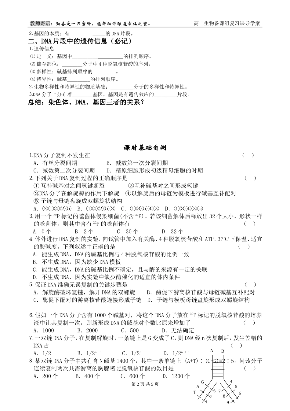 第7课时 DNA的复制+基因是有遗传效应的DNA片段_第2页