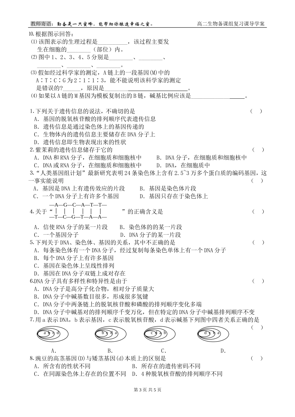 第7课时 DNA的复制+基因是有遗传效应的DNA片段_第3页