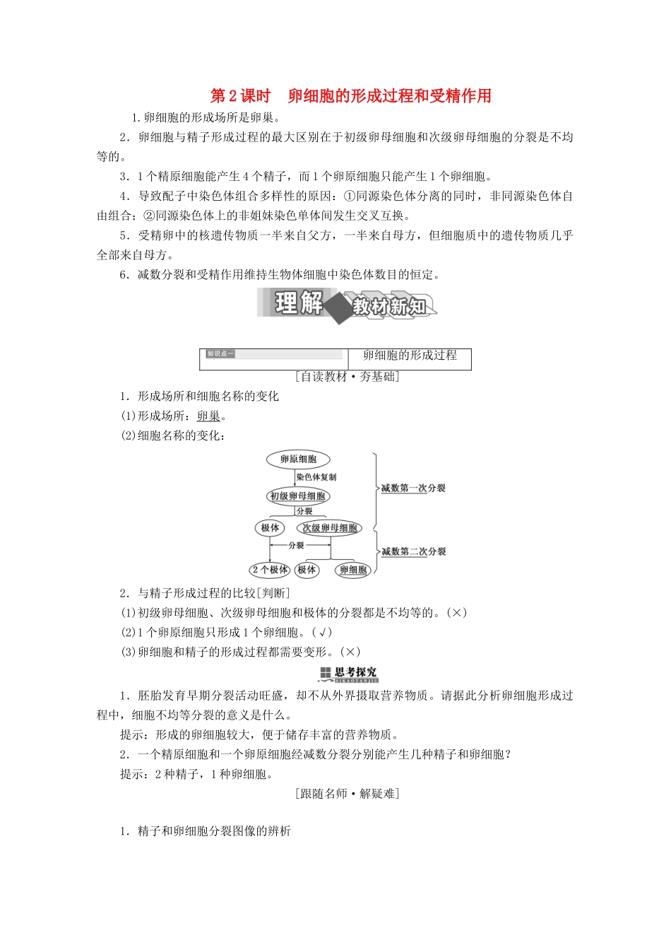 高中生物 第2章 基因和染色体的关系 第1节 减数分裂和受精作用（第2课时）卵细胞的形成过程和受精作用学案 新人教版必修2-新人教版高一必修2生物学案_第1页