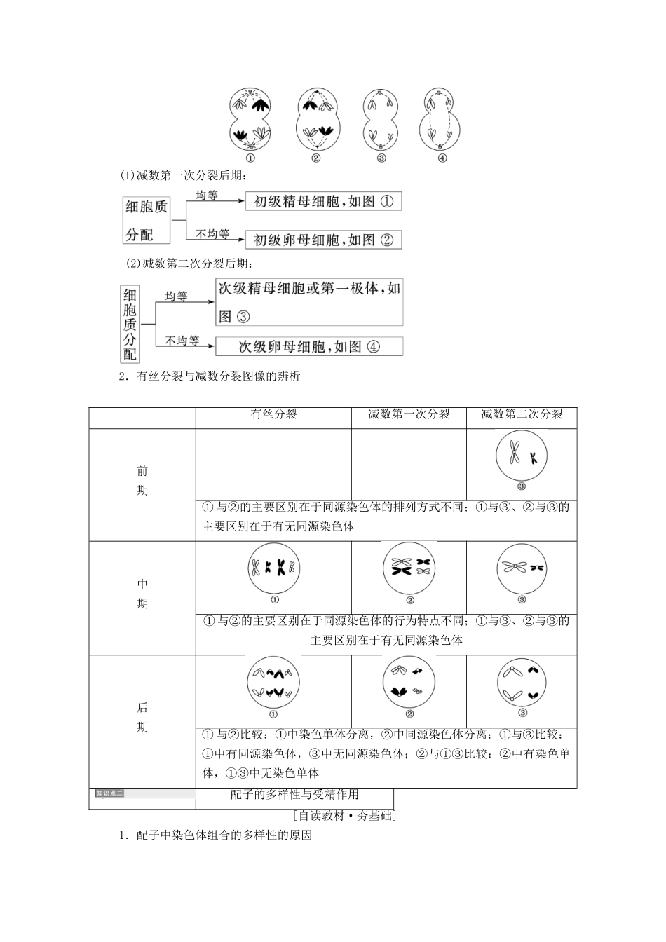高中生物 第2章 基因和染色体的关系 第1节 减数分裂和受精作用（第2课时）卵细胞的形成过程和受精作用学案 新人教版必修2-新人教版高一必修2生物学案_第2页