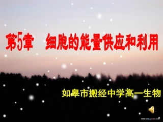 细胞的能量通货ATP