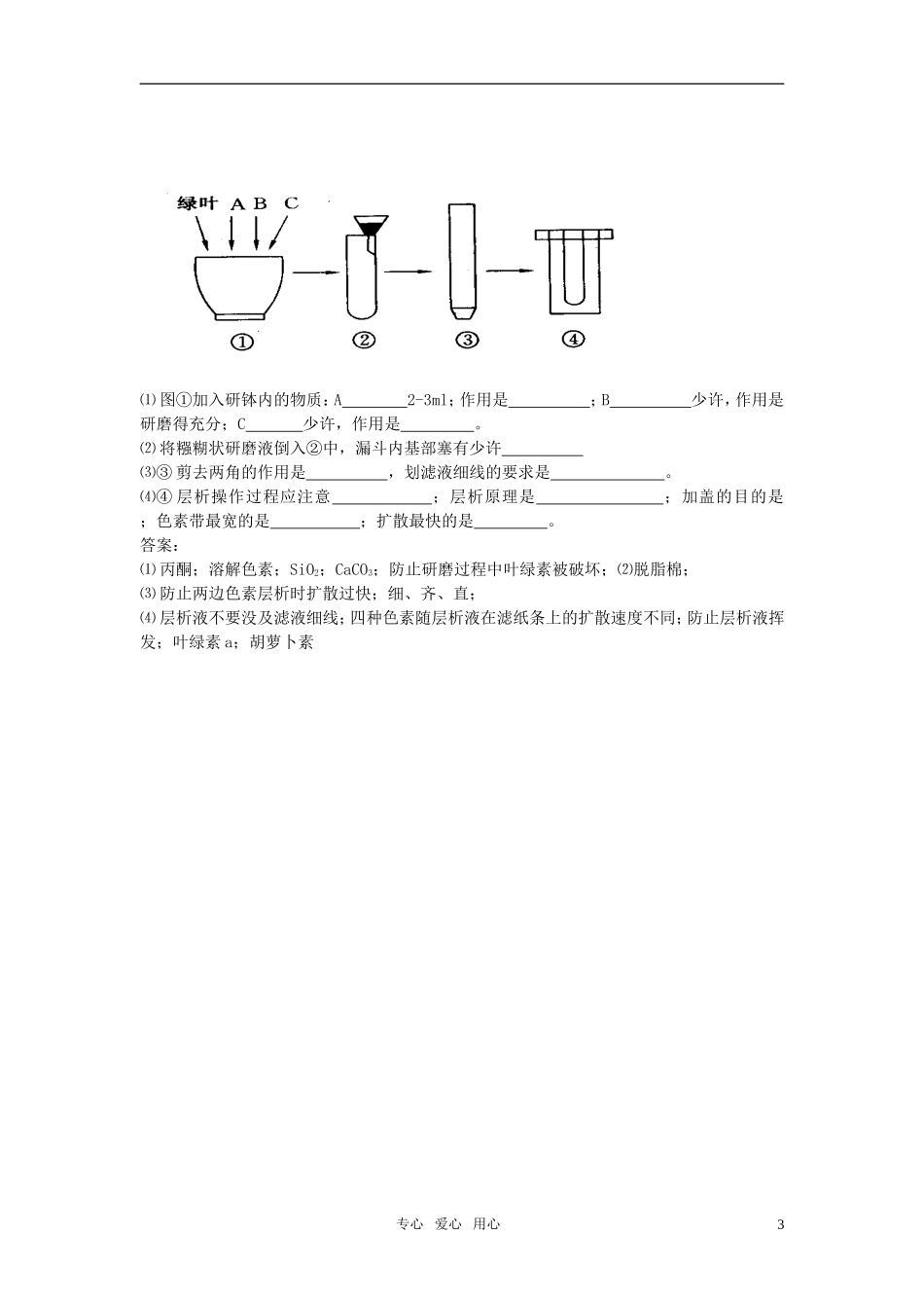 高中生物 3.2.3《光能的捕获》（3）学案 中图版必修1_第3页
