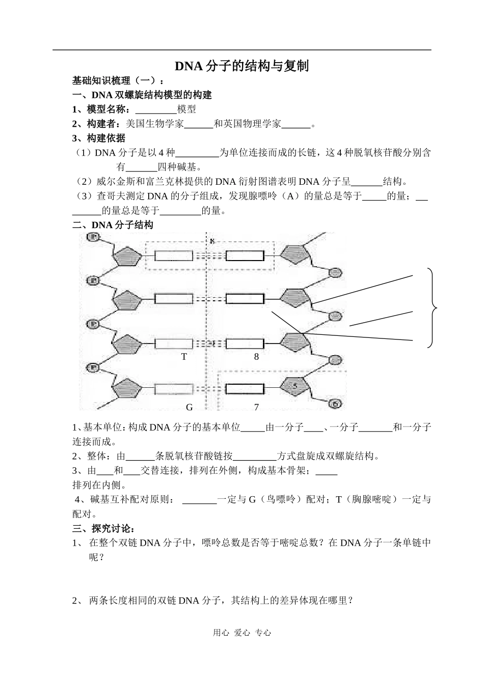 DNA分子的结构与复制_第1页