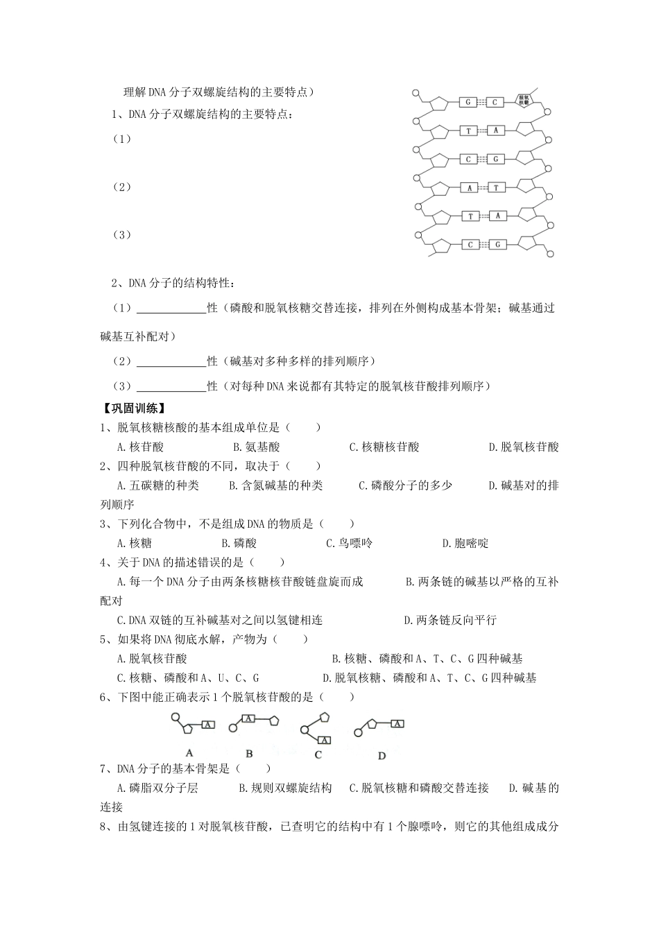高中生物 第3章 基因的本质 第2节 DNA分子的结构导学案 新人教版必修2-新人教版高一必修2生物学案_第2页
