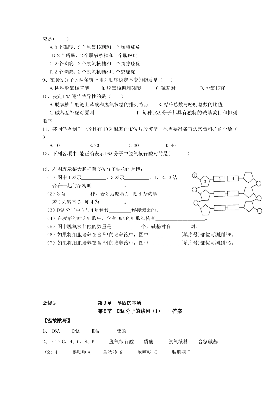 高中生物 第3章 基因的本质 第2节 DNA分子的结构导学案 新人教版必修2-新人教版高一必修2生物学案_第3页