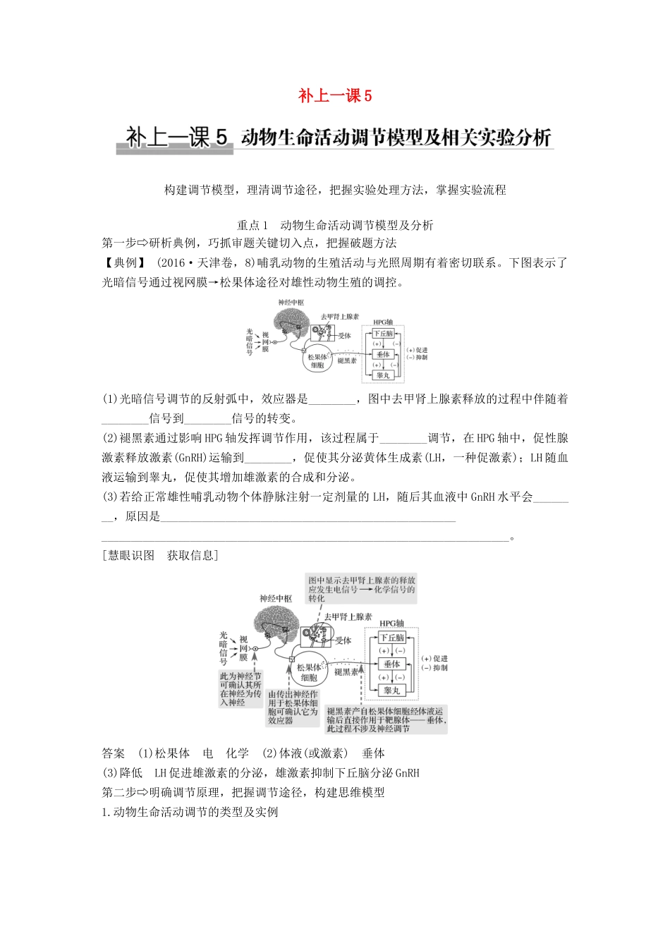 高考生物大一轮复习 第九单元 生物个体的稳态与调节 补上一课5学案 中图版必修3-中图版高三必修3生物学案_第1页