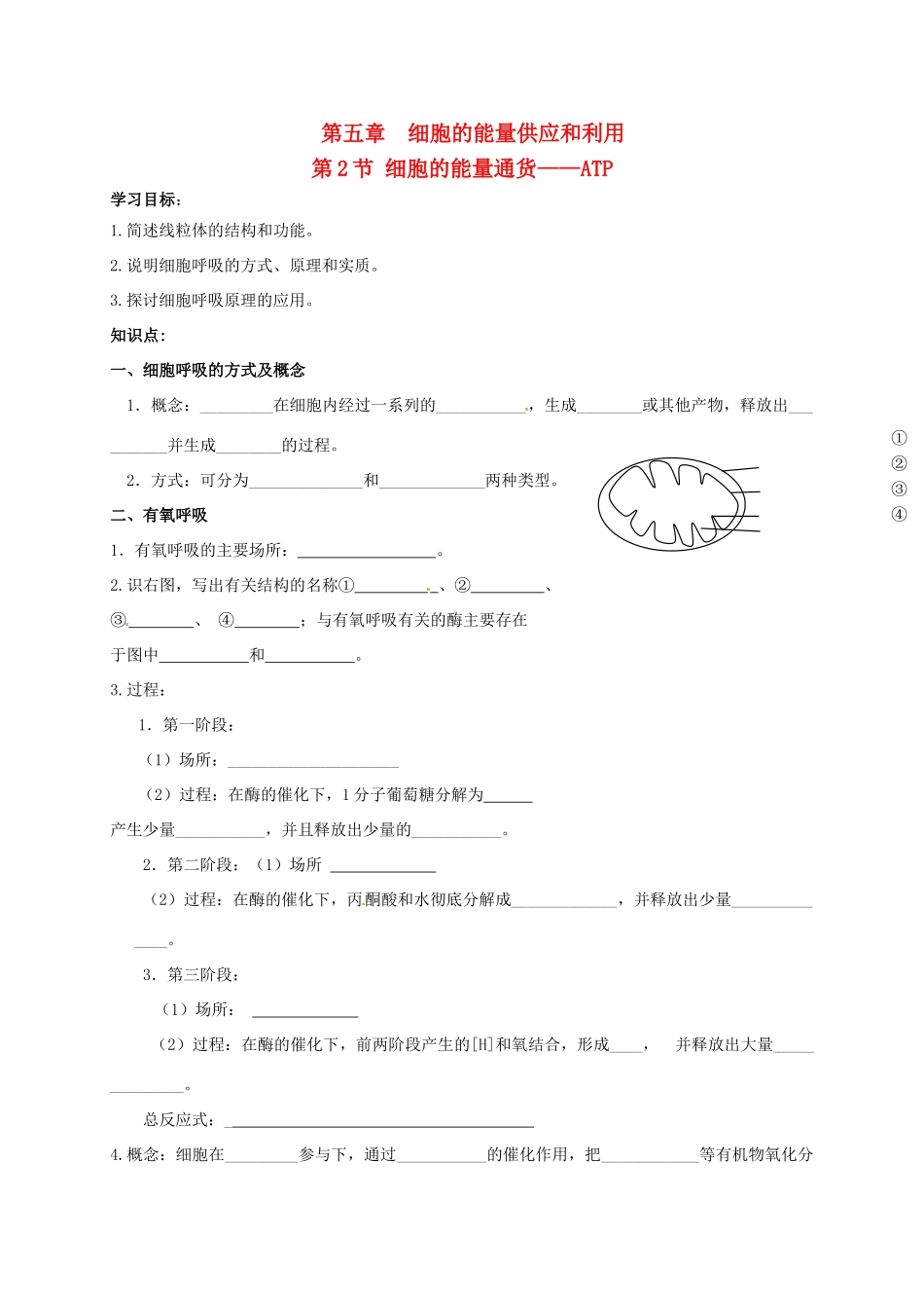 高中生物 5.2 细胞的能量通货——ATP导学案2（无答案）新人教版必修1-新人教版高一必修1生物学案_第1页