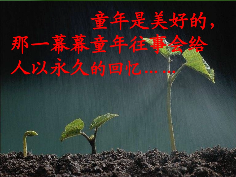 桂花雨方贤琨_第2页