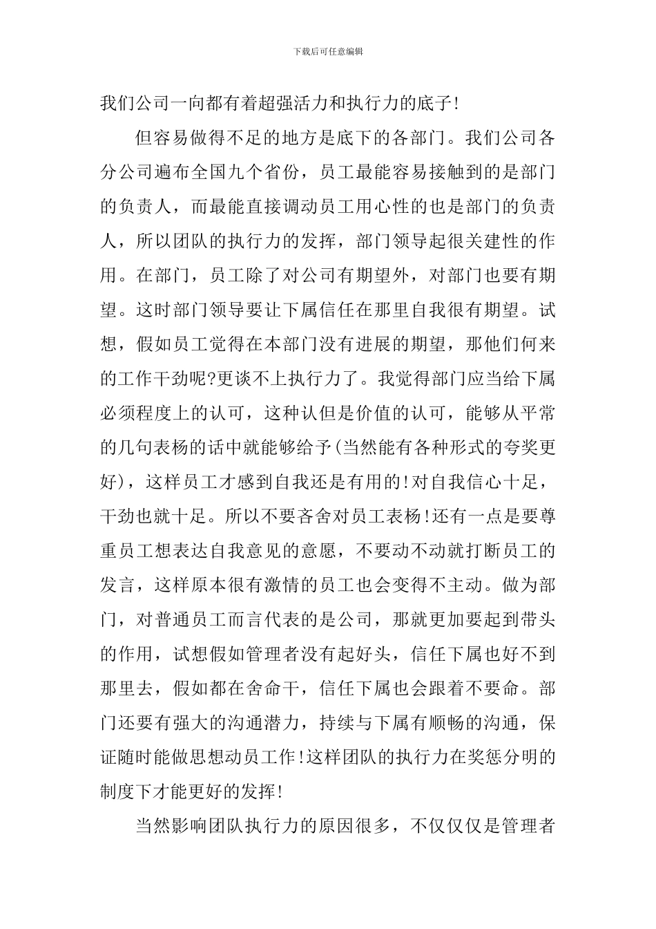 2024执行力的心得体会_第2页