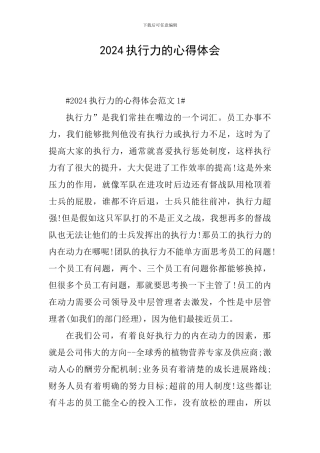 2024执行力的心得体会