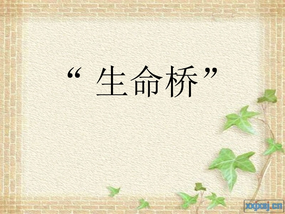 “生命桥”课件定稿_第1页