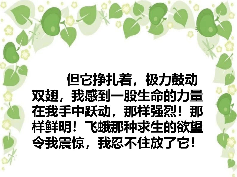 《生命生命》课件_第3页