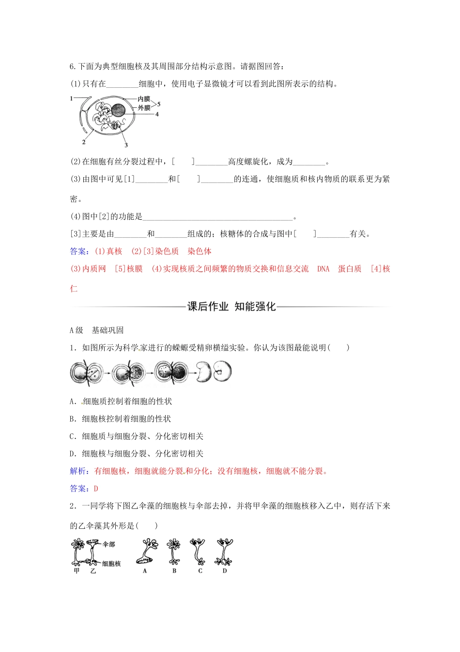高中生物 第3章 第3节 细胞核 系统的控制中心练习 新人教版必修1-新人教版高一必修1生物学案_第2页