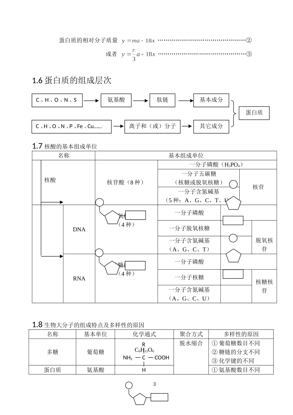 高中生物知识网络框架_第3页